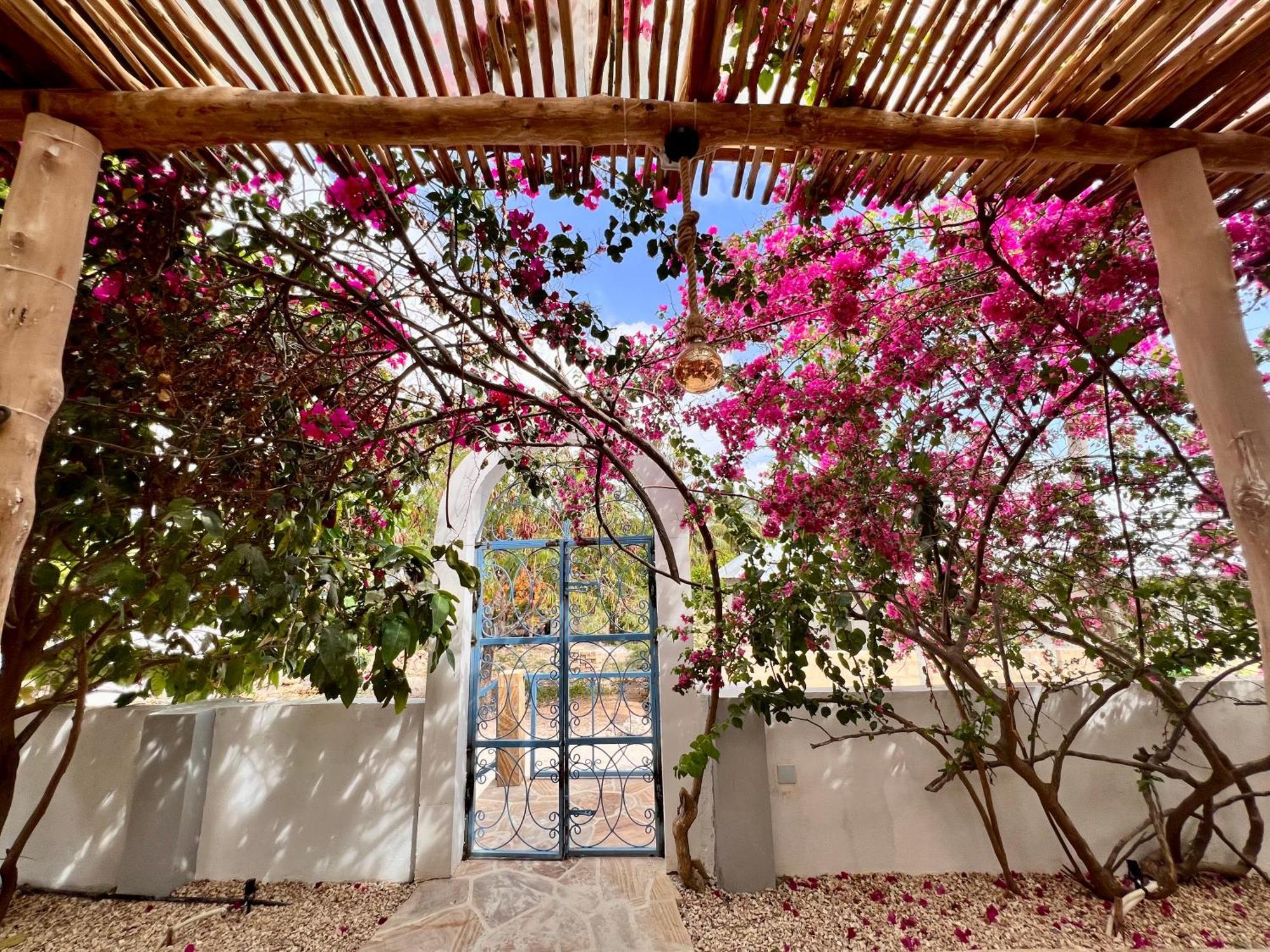 Bed and Breakfast Barabara House Jambiani  Exterior foto